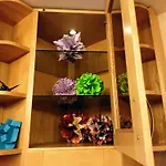 Origami *