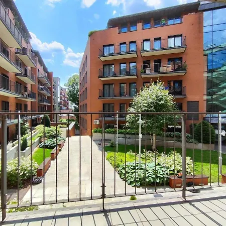 Daire Origami Krakow