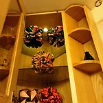 Origami * Cracovia